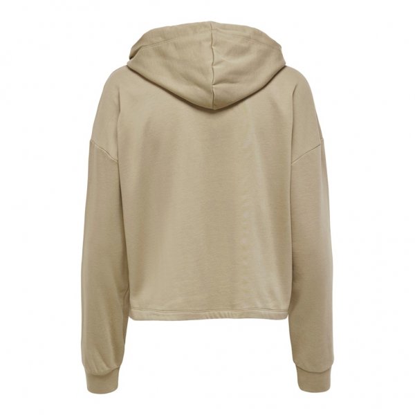15241103_3730986_Back ONLDREAMER LIFE L/S HOOD ONLY 15241403-SILVER - Image 2