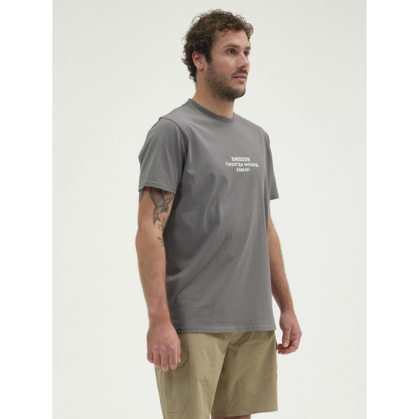 Ανδρική Μπλούζα Κοντομάνικη Emerson Γκρί Ανοιχτό - Image 4