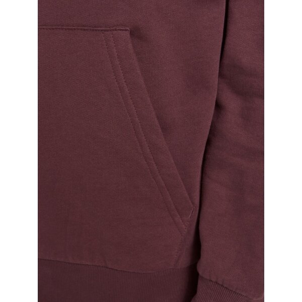 12193597_3671174_Detail_1 Ανδρική φούτερ Jack & Jones με Κουκούλα Μπορντώ - Image 5