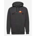 Ανδρική Φούτερ με κουκούλα Ellesse SHK07407-103 Ανθρακί