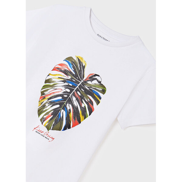 Σετ μπλούζα κοντομάνικη ECOFRIENDS αγόρι 22-06011-054 - Image 5