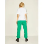 Γυναικείο T-Shirt JJXX 12206974 Logo Bright White/Absinthe - Image 3