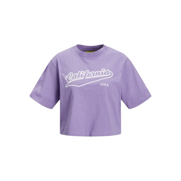 Γυναικείο T-Shirt JXBROOK SS RELAXED VINT TEE SN  JJXX 12200326 - Image 8