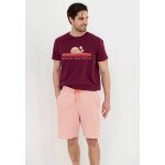 Ανδρική Βερμούδα Φούτερ FUNKY BUDDHA FBM005-050-03 ΡΟΖ