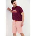 Ανδρική Βερμούδα Φούτερ FUNKY BUDDHA FBM005-050-03 ΡΟΖ - Image 3