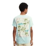 Ανδρική Μπλούζα SCOTCH & SODA 166652 GRAPHIC CREWNECK Πράσινο - Image 3