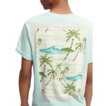 Ανδρική Μπλούζα SCOTCH & SODA 166652 GRAPHIC CREWNECK Πράσινο - Image 4