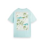 Ανδρική Μπλούζα SCOTCH & SODA 166652 GRAPHIC CREWNECK Πράσινο - Image 7