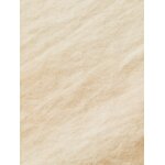 Ανδρικό Πουκάμισο Scotch & Soda 160775 Μπέζ - Image 4