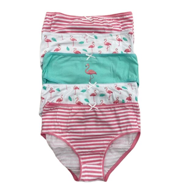 284452218_1666503010370846_7559165844768308577_n-removebg-preview Παιδικά Βρακάκια για Κορίτσι Πολύχρωμα 5τμχ Minoti 10G NICKS 3 - Image 1