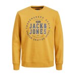Ανδρική φούτερ JACK & JONES 12211549 Κίτρινο