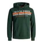 Ανδρική φούτερ Κουκούλα JACK & JONES 12211541 Πράσινο