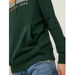 Ανδρική φούτερ Κουκούλα JACK & JONES 12211541 Πράσινο - Image 7