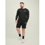 Ανδρική Μπλούζα Μακρυμάνικη JACK & JONES PLUS SIZE 12219008 Μαύρο - Image 5