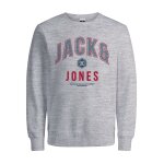 Ανδρική Φούτερ Λαιμόκοψη JACK & JONES 12219828 Γκρί