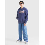 Ανδρική Φούτερ TOMMY JEANS DM0DM15009 REG ATHLETIC LOGO HOODIE Μπλέ - Image 4
