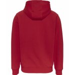 Ανδρική Φούτερ TOMMY JEANS DM0DM15006 REG ESSENTIAL GRAPHIC Κόκκινο - Image 2