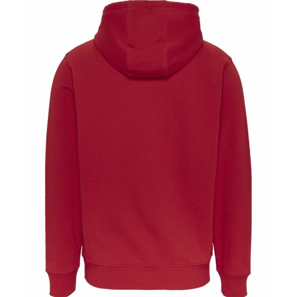 Ανδρική Φούτερ TOMMY JEANS DM0DM15006 REG ESSENTIAL GRAPHIC Κόκκινο - Image 2
