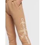 ΠΑΝΤΕΛΟΝΙ ΓΥΝΑΙΚΕΙΟ CALVIN KLEIN GRADIENT MONOLOGO PANTS J20J219743-GV7 - Image 4