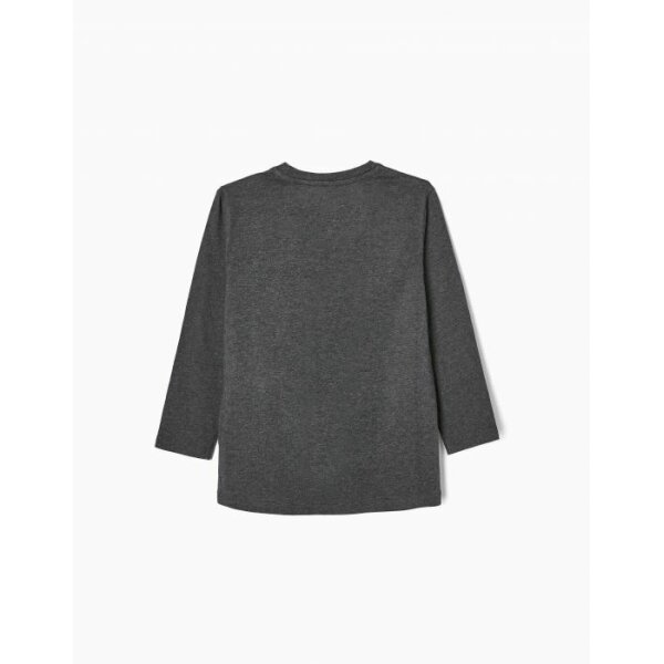 1313-2557-GREY-2 Zippy μπλούζα μακρυμάνικη για αγόρι τύπωμα δεινόσαυρος ZKBAP0303-22121 - Image 2