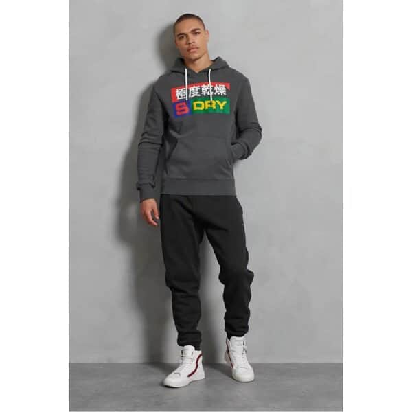 595962_2 Ανδρική Φούτερ SUPERDRY M2010448A STARBOARD Γκρί - Image 4