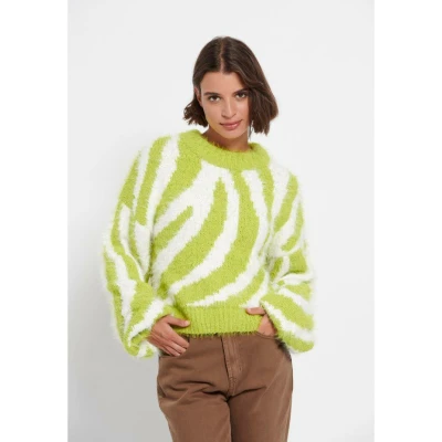 Πουλόβερ με σχέδιο στην πλέξη Πράσινο Funky Buddha FBL006-133-09