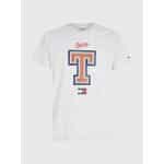 Ανδρική Μπλούζα TOMMY JEANS MODERN DM0DM16404 Γκρί