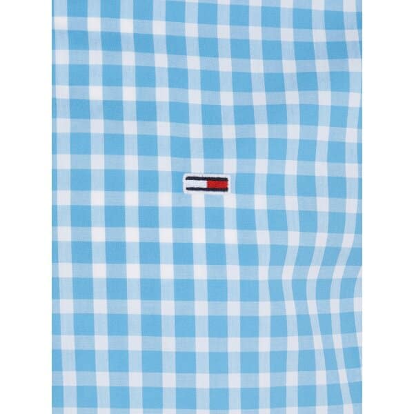Ανδρικό Πουκάμισο TOMMY JEANS ESSENTIAL CHECK DM0DM15934 Μπλέ Λευκό - Image 3