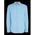 Ανδρικό Πουκάμισο TOMMY JEANS ESSENTIAL CHECK DM0DM15934 Μπλέ Λευκό - Image 6
