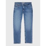 Ανδρικό Παντελόνι Τζιν TOMMY JEANS RYAN STRGHT DM0DM16053 Μπλέ