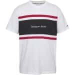 Ανδρική Μπλούζα TOMMY JEANS LINEAR DM0DM16313 Λευκό