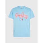 Ανδρική Μπλούζα TOMMY JEANS COLLEGE POP DM0DM16403 Γαλάζιο