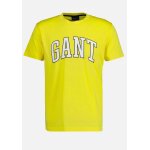Ανδρική Μπλούζα GANT MD T-SHIRT 2003181 Κίτρινο - Image 3
