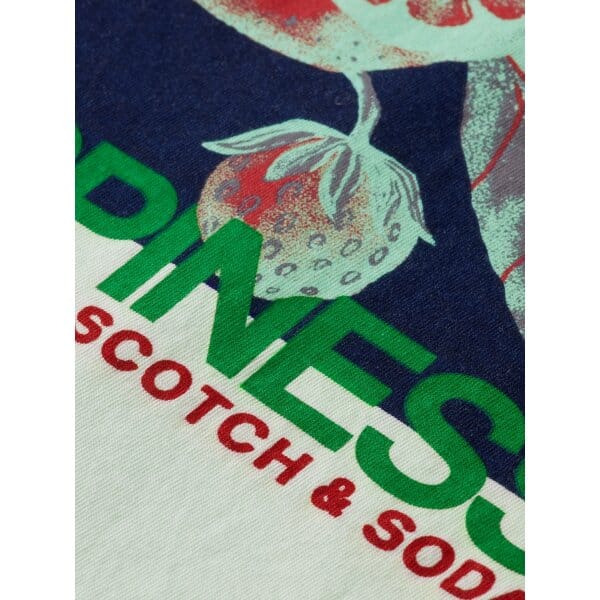 Ανδρική Μπλούζα SCOTCH & SODA ENDLESS SUMMER 171694 Πράσινο - Image 3