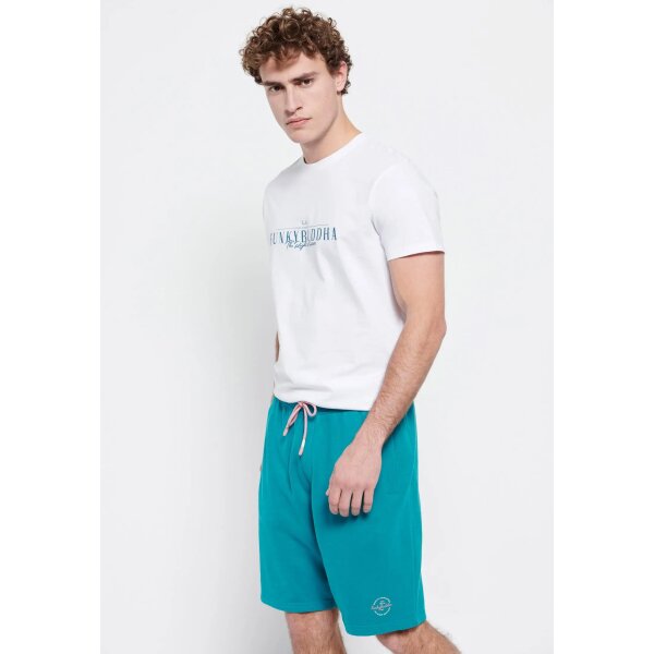 Ανδρική Βερμούδα Φούτερ FUNKY BUDDHA FBM007-050-03 Πράσινο - Image 6