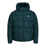 Ανδρικό Μπουφάν Puffer JACK & JONES 12238878 Πράσινο - Image 4