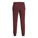 Ανδρική Φόρμα JACK & JONES 12242594 Μπορντώ - Image 2