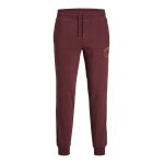 Ανδρική Φόρμα JACK & JONES 12242594 Μπορντώ - Image 3