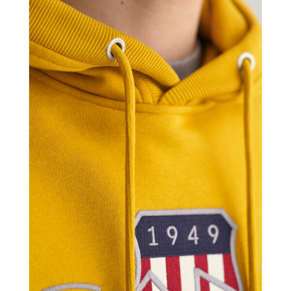 Ανδρική Φούτερ GANT REG ARCHIVE SHIELD 2047082 Κίτρινο - Image 4