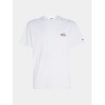 Ανδρική Μπλούζα TOMMY JEANS DM0DM17714 CLSC SMALL FLAG Λευκό