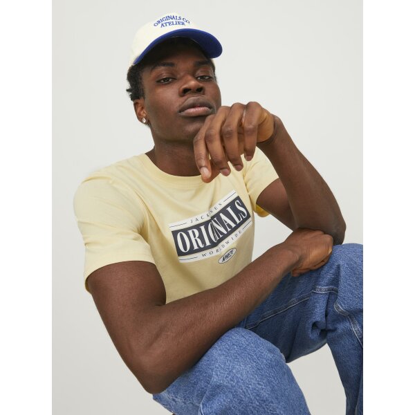 JORCOBIN TEE SS CREW NECK LN Ανδρική Μπλούζα Κοντομάνικη  Jack  & Jones 12250411 Κίτρινο - Image 6