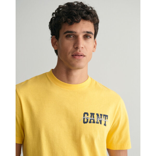 Ανδρική Μπλούζα GANT ARCH SCRIPT SS 2033016 Κίτρινο - Image 5