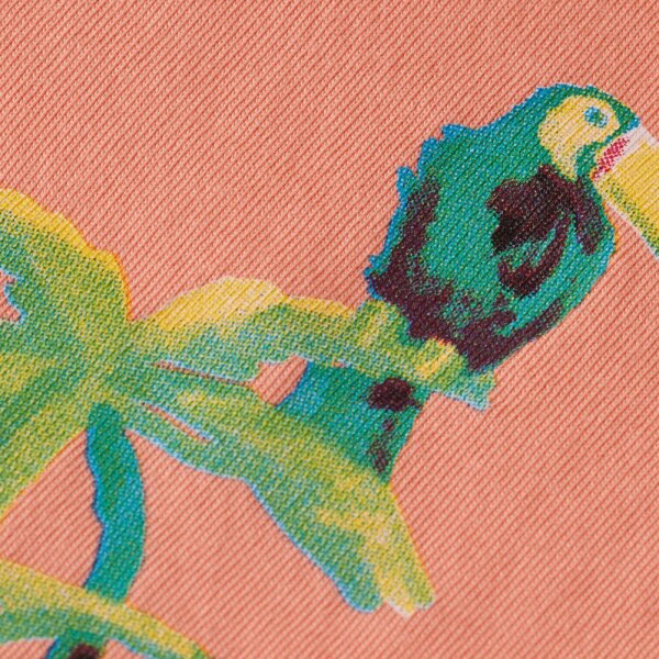 Ανδρική Μπλούζα SCOTCH AND SODA FRONT BACK175641 Κοραλί - Image 2