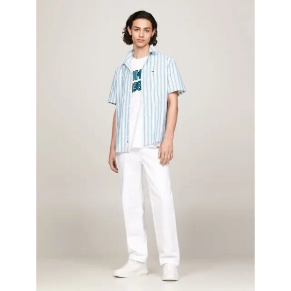 Ανδρικό Πουκάμισο Λινό TOMMY JEANS DM0DM18961 STRIPE SS Λευκό Πράσινο - Image 4