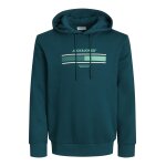 Ανδρική Φούτερ Μπλούζα JACK & JONES 12256820 Πράσινο