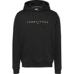 Ανδρική Μπλούζα Φούτερ TOMMY JEANS REG LINEAR GOLD DM0DM20503 Μαύρο
