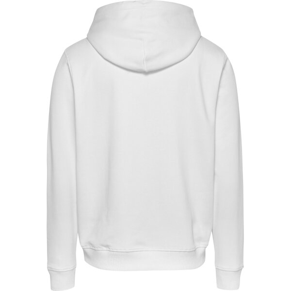 DM0DM20503YBR_B Ανδρική Μπλούζα Φούτερ TOMMY JEANS REG LINEAR GOLD DM0DM20503 Λευκό - Image 3