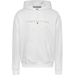 Ανδρική Μπλούζα Φούτερ TOMMY JEANS REG LINEAR GOLD DM0DM20503 Λευκό
