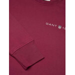 Ανδρική Φούτερ GANT PRINTED GRAPHIC 2003243 Μπορντώ - Image 3