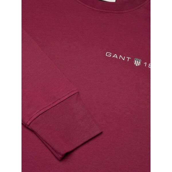 fixedratio_20241126115638_5357f4ae Ανδρική Φούτερ GANT PRINTED GRAPHIC 2003243 Μπορντώ - Image 3